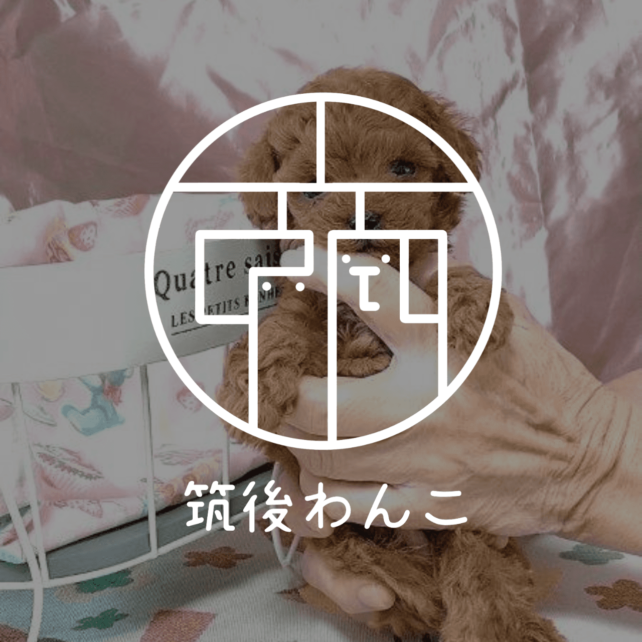 ホーム画像